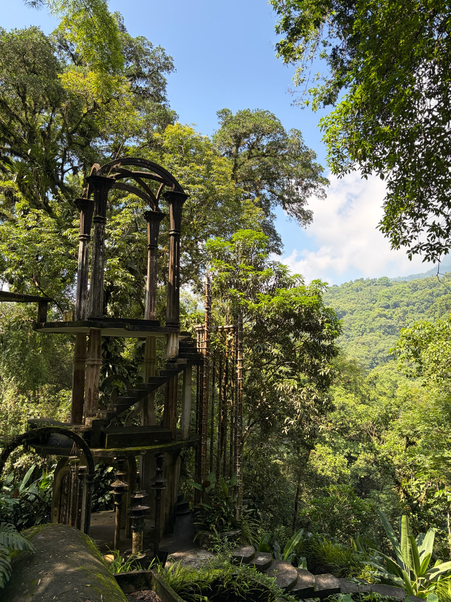 Escaleras y columnas surrealistas cubiertas de vegetación